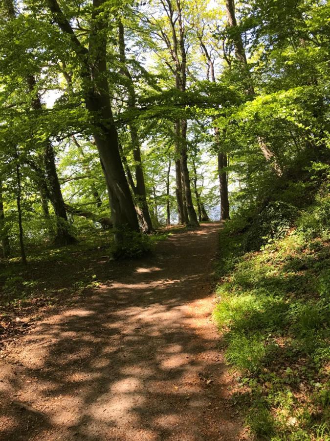 Raben Steinfeld Forststrasse Am Residence-Park エクステリア 写真